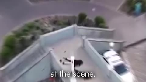 Chaos at Bondi Beach: Gunfire, Panic, and a Heroic Tackle