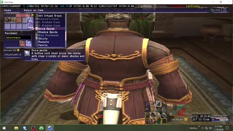 Playing Final Fantasy XI Online