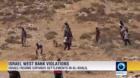 Israel intensifies settlement expansion, violations in Al-Khalil