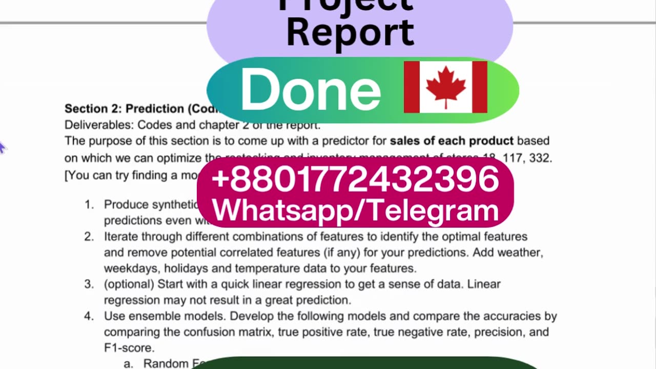 Student Work (Capstone Report) | COMP 302 Report Summary | McGill University