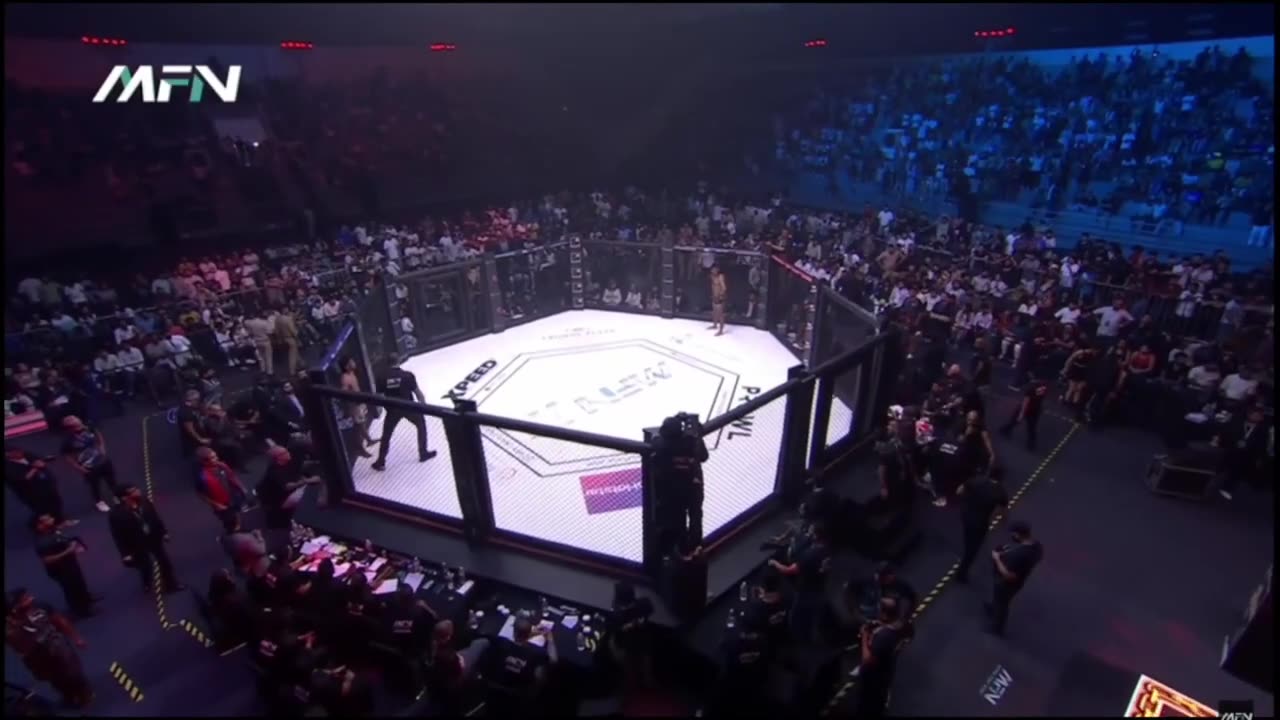 MFN FIGHT HIGHLIGHTS