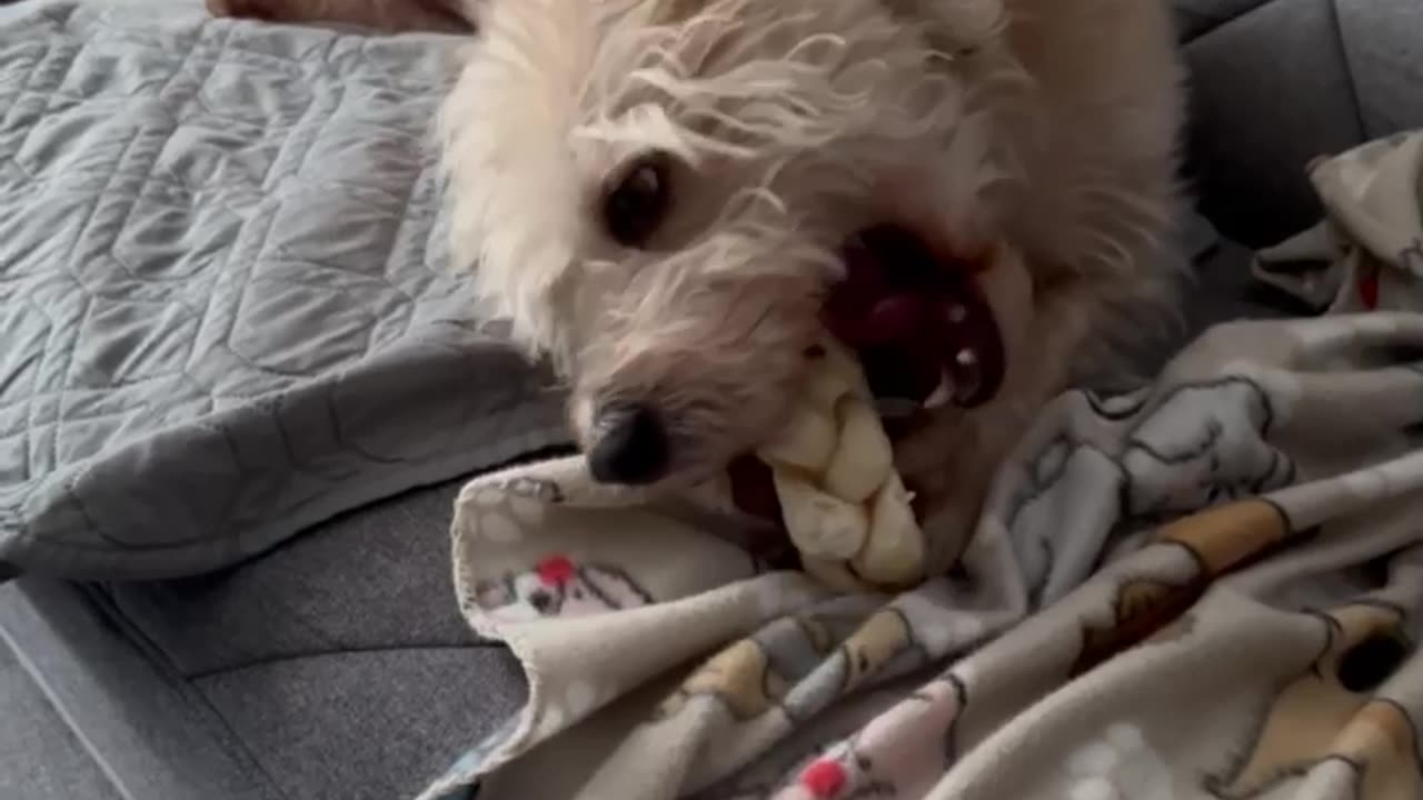 BERKELEY IS ENJOYING HIS NEW DONUT