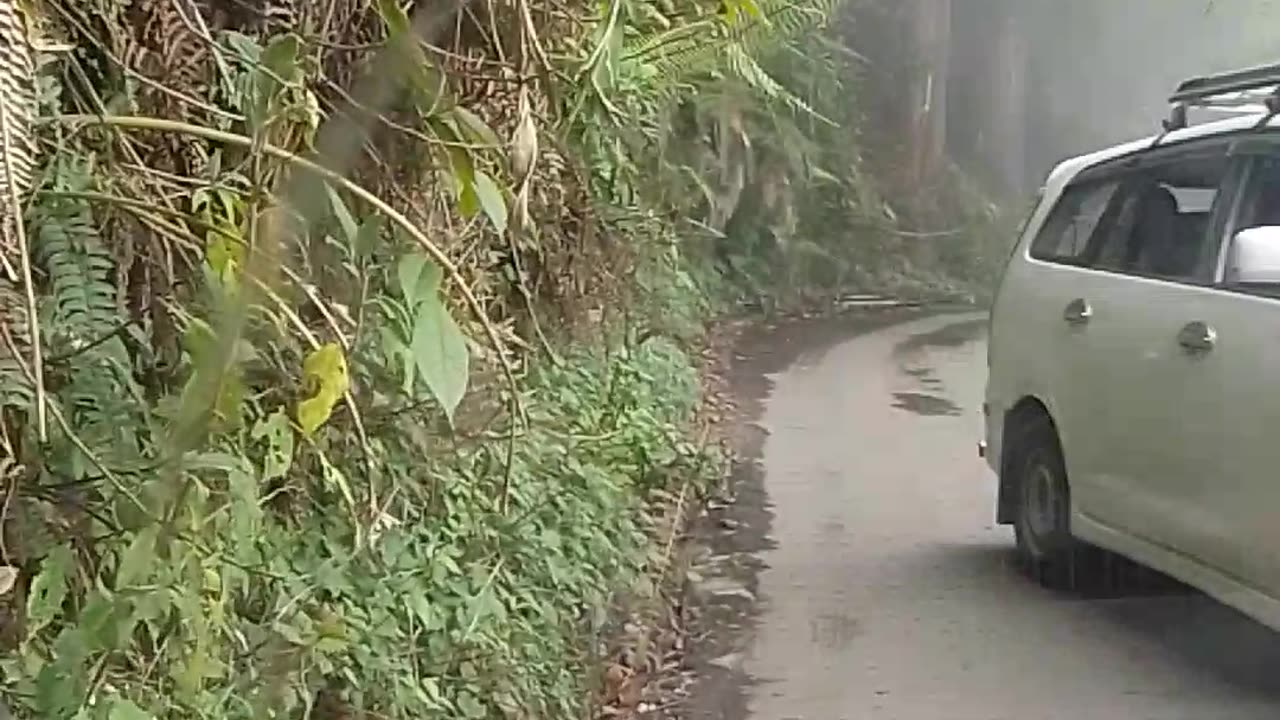 Driving in the roads of Darjeeling