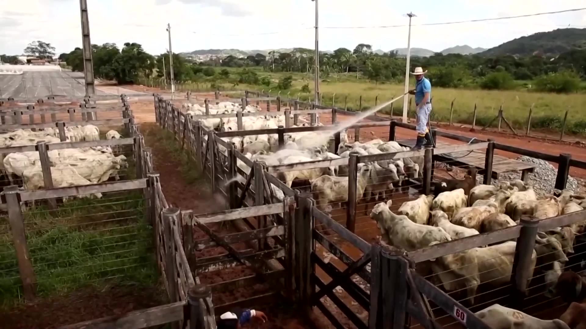 US faces beef price hikes under Trumps new Brazil tariffs