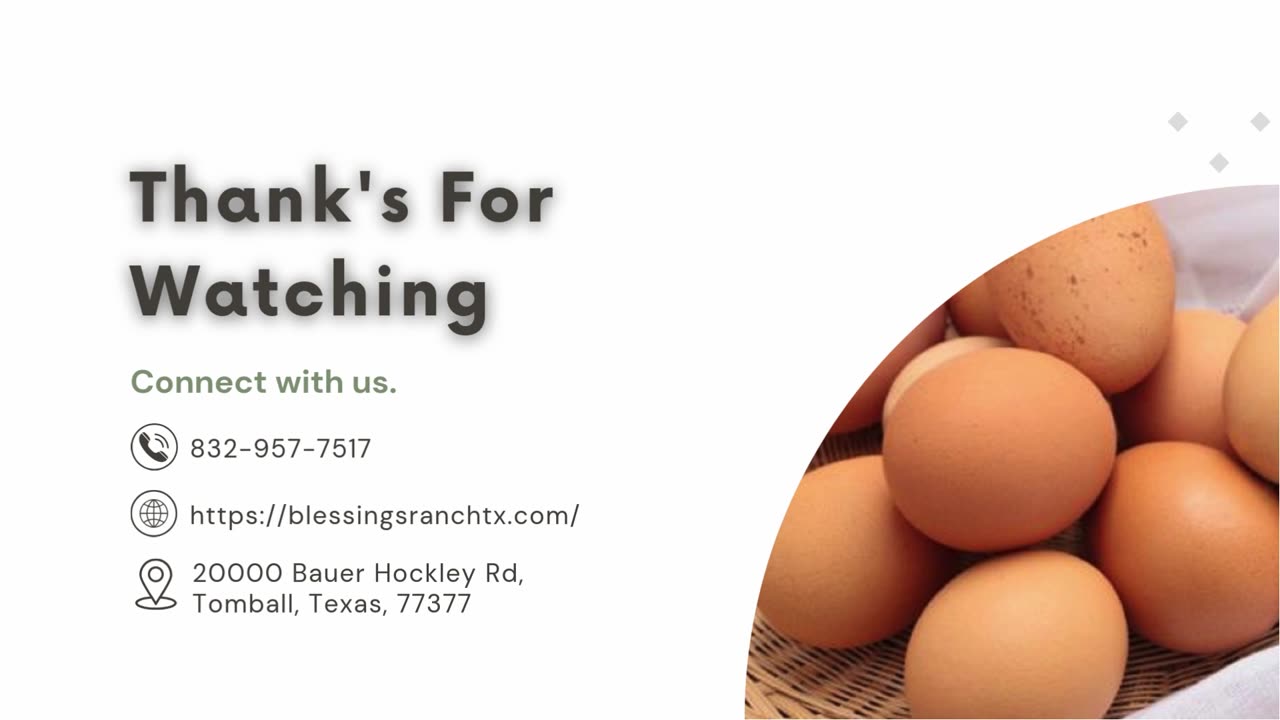 The Nutritional Power of Pasture Raised Eggs
