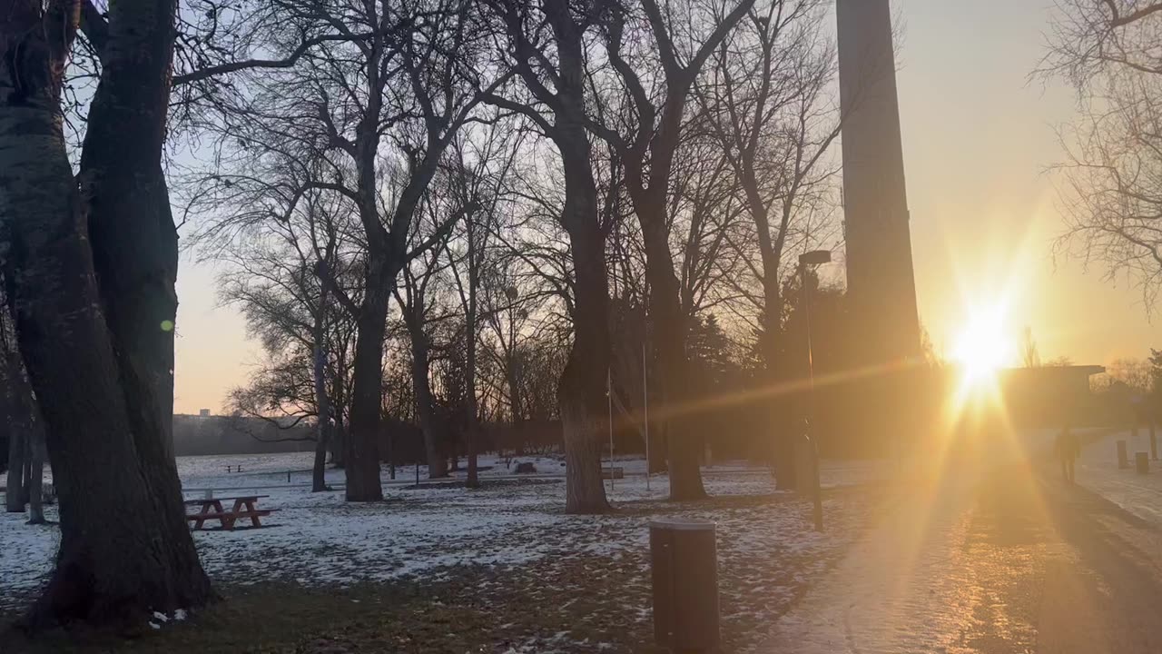 Winter day walk through a park