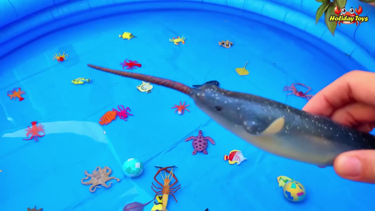 Puffer Fish Avoid Crab Attacks and Hide in Sand Holes