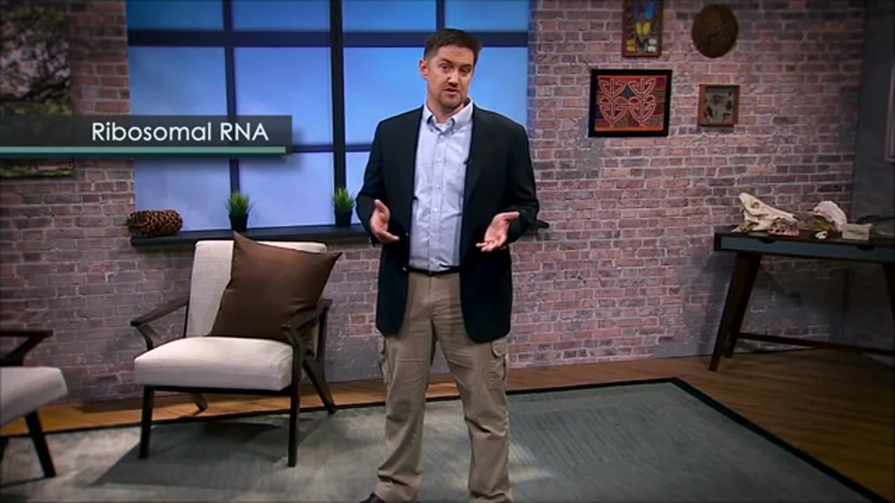 1530-11 - Reconstructing the Tree of Life with DNA