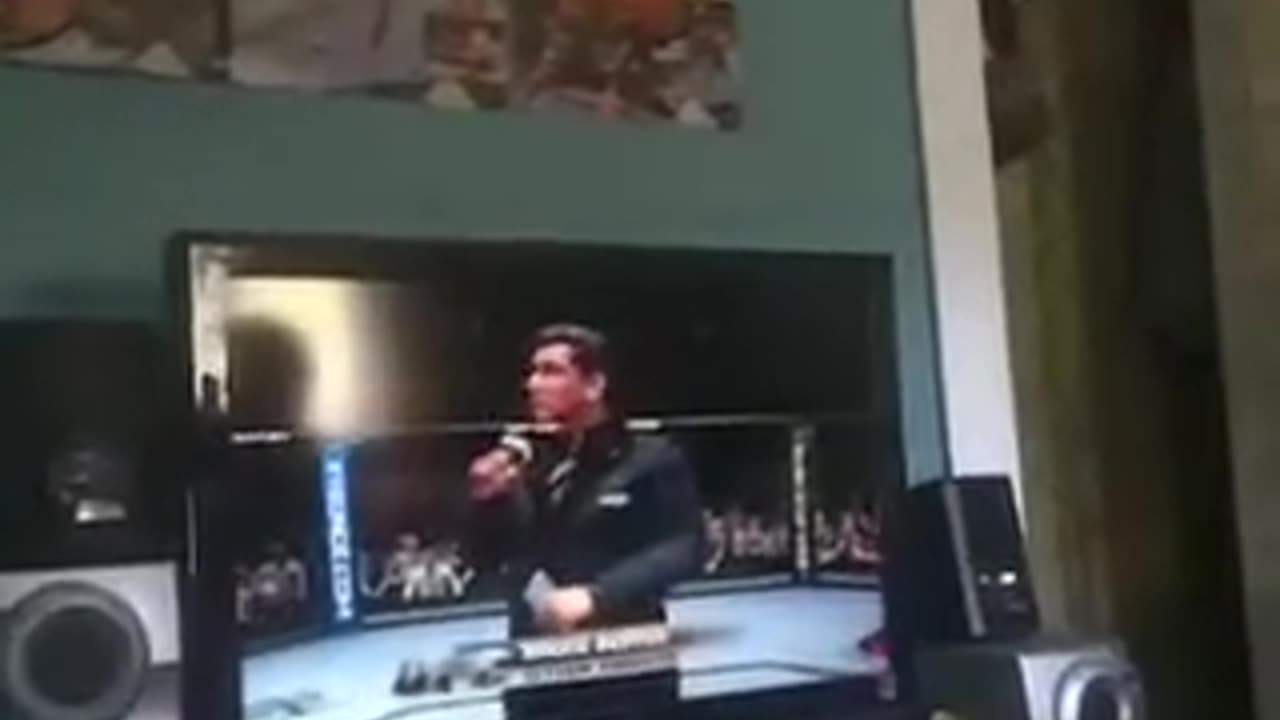 UFC Undisputed 2010 Revisited PS3 Game Review