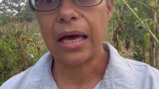 Dr Christina Parks: how does Tylenol increase risk of autism and other neurological disorders?