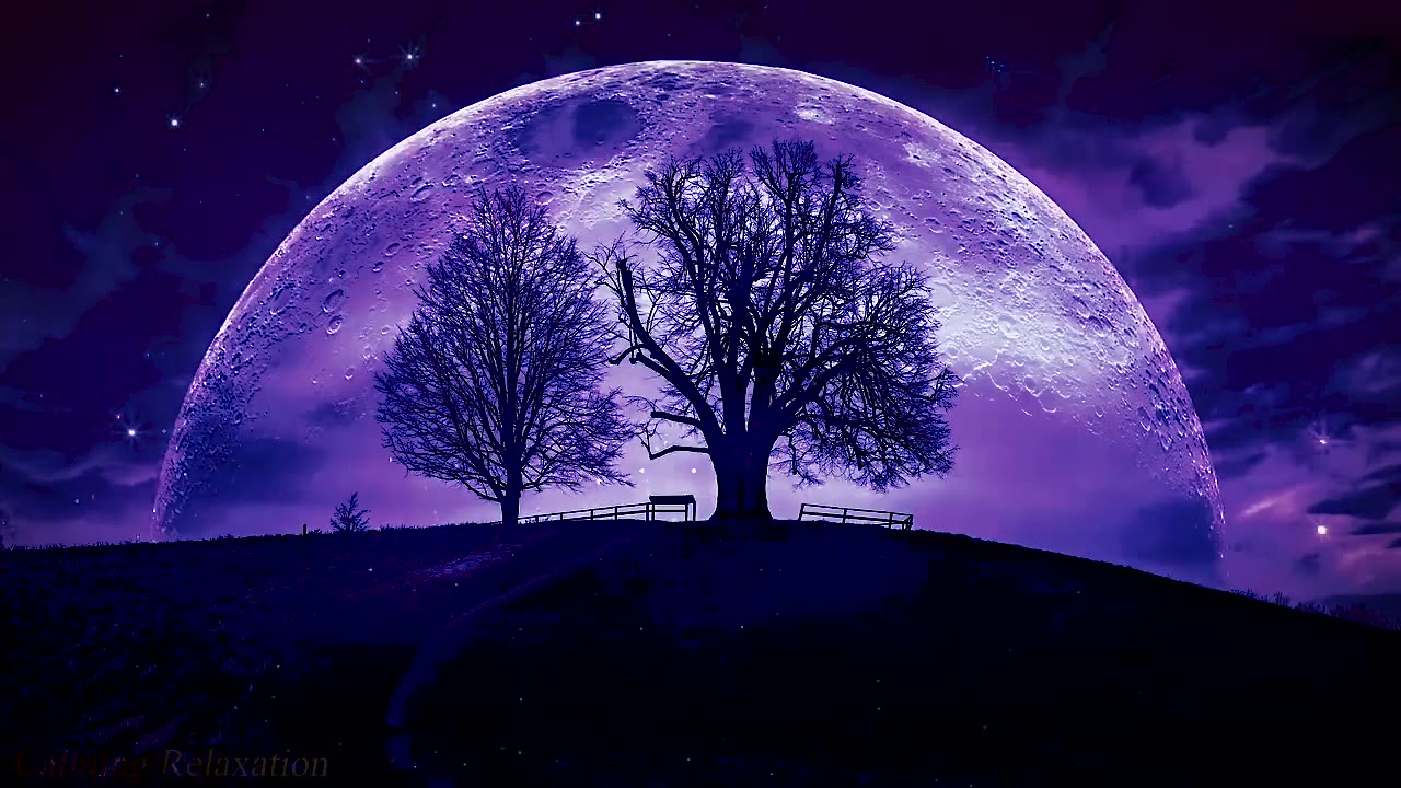 Beat Insomnia | Soothing Music for Deep Sleep