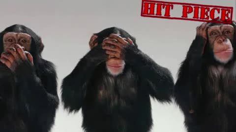 Response to Rocking Mr E's Hit Piece