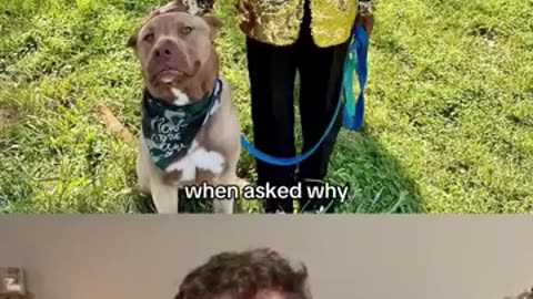 Top 5 Dogs of the Week