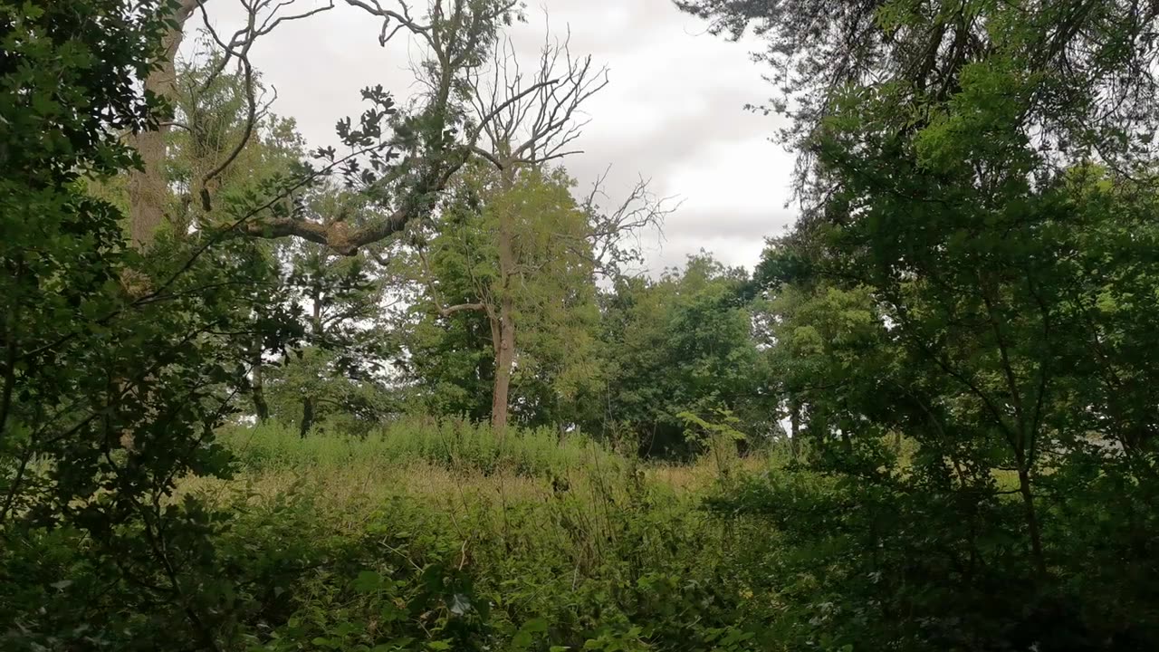 One BIG WAR / In Diss Norfolk UK