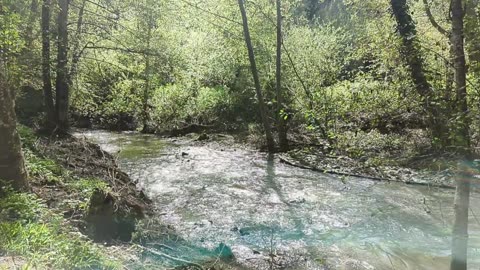 Relaxing Down By The Creek