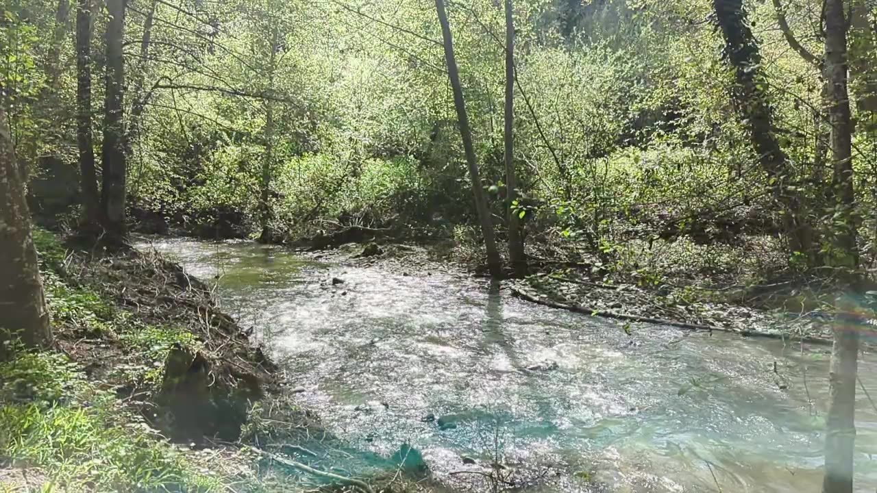 Relaxing Down By The Creek