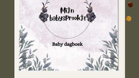 Mijn babysprookje: Een Baby Memory Boek