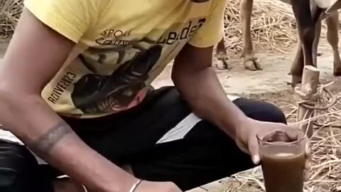 India Energy Drink