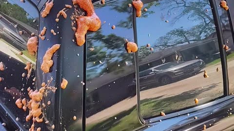 Spray Foam Exploded All Over Car