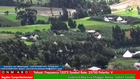 Oduu Galgala ONM-ABO Caamsaa 31-2025 itti dhiyaadhaa!