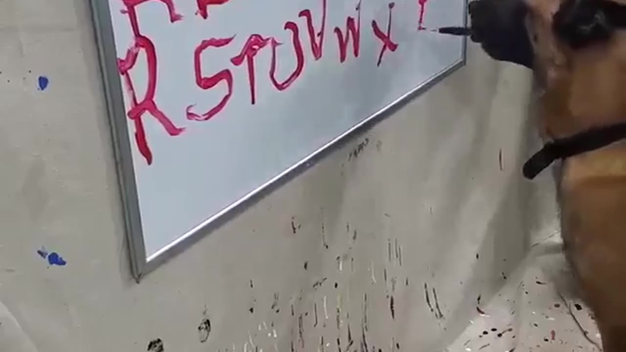 Dog learning to write