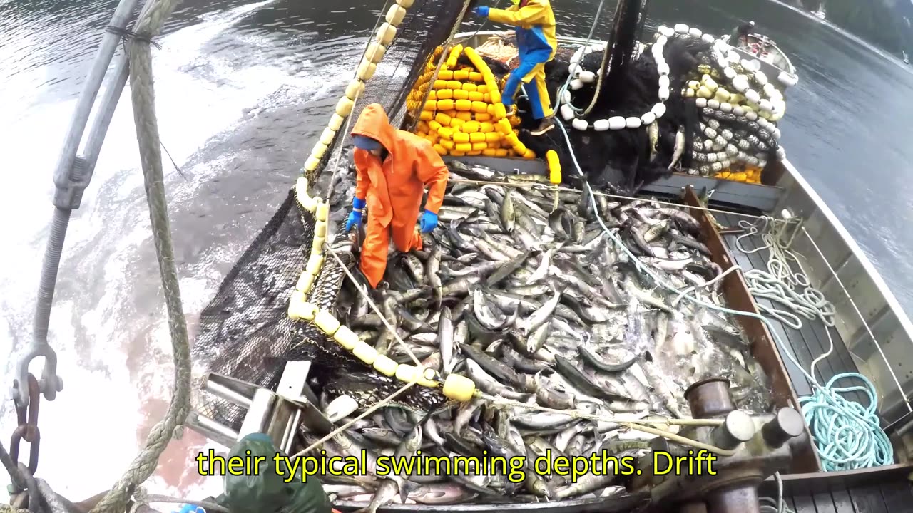 Salmon fishing in Crawfish Inlet, Alaska.