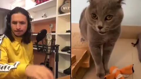 Cat Mix