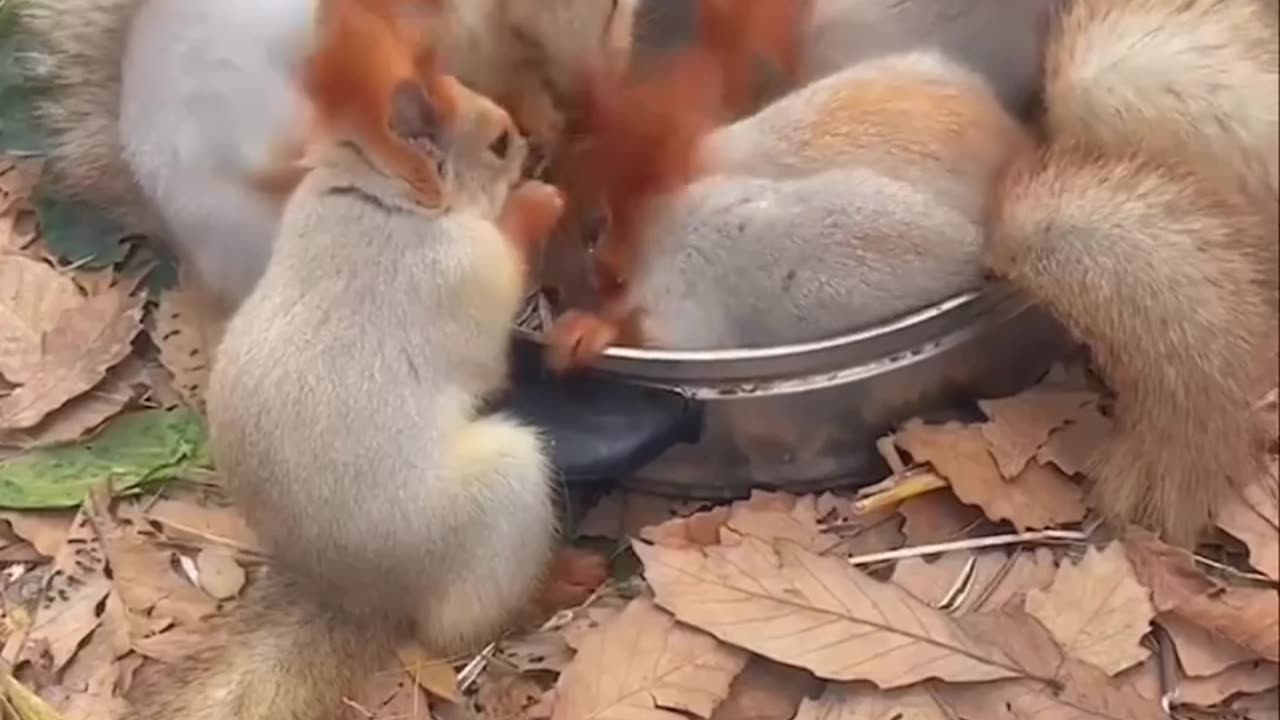 Dinner time