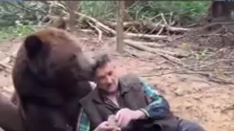BEAR won't eat McDonald's burger. Lol