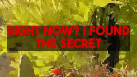 DIY Travel: Make Business Class & 5-Star Hotels Affordable with Mighty Travels Premium.