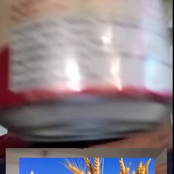 CHILLIBEERS - THE BARN RAISER COUNTRY ALE - OAST HOUSE BREWERS