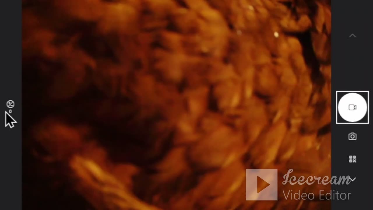 Poultry Act: Back in the Feather