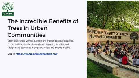 The Incredible Benefits of Trees in Urban Communities and their Impact on Daily Life