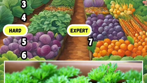 Herbs quiz Are You familiar with this herbs test your knowledge