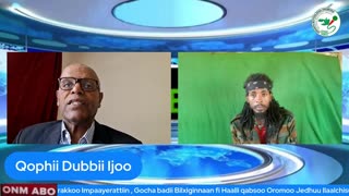Qophii Dubbii Ijoo ONM-ABO Adoolessa 3-2025 itti dhiyaadhaa!