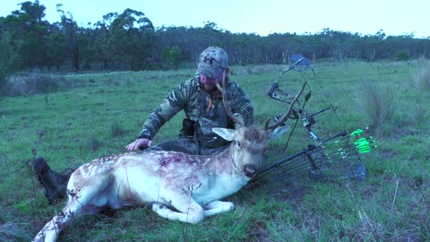 Bowhunting The Rut