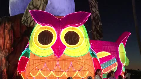 2019 Carnaval Parade (Sunday) (Mazatlán, Sinaloa, Mexico) 12