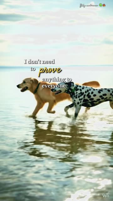 You should do what you like, not what others like..!