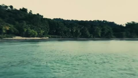 Costa Rica Eco Retreat: Yoga, Surf, Sportfishing & Wildlife in Matapalo