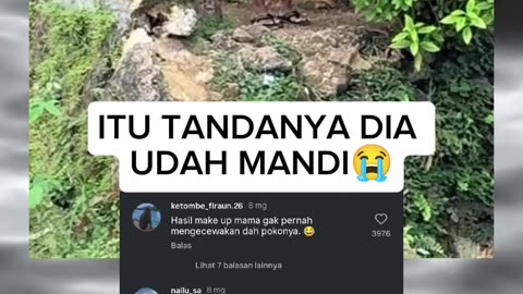 FUNNY MEMES VIDEOS