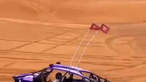 Lambo Attitude