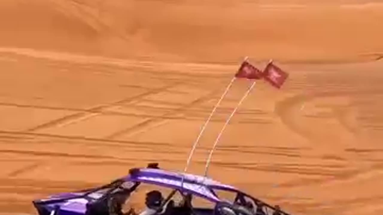 Lambo Attitude