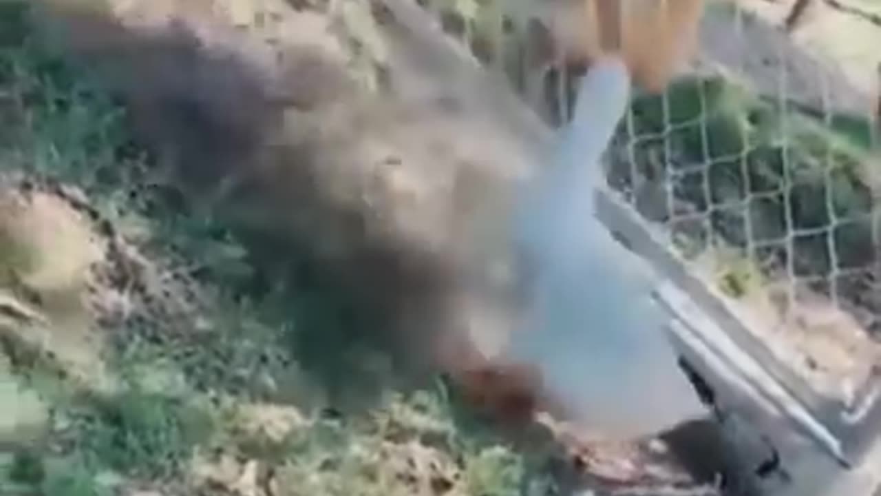 Funniest Cats and Dogs πΆπ± | Funny Animal Videos #9