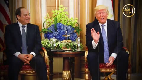 برقية عاجلة إمارة السفهاء