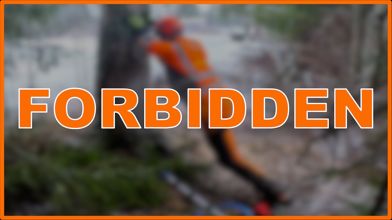STOP USING THIS ILLEGAL TREE-CUTTING TECHNIQUE!