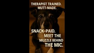 THERAPIST TRAINED.MUTT-MADE. SNACK-PAID.MEET THE MUZZLE BEHIND THE MIC.
