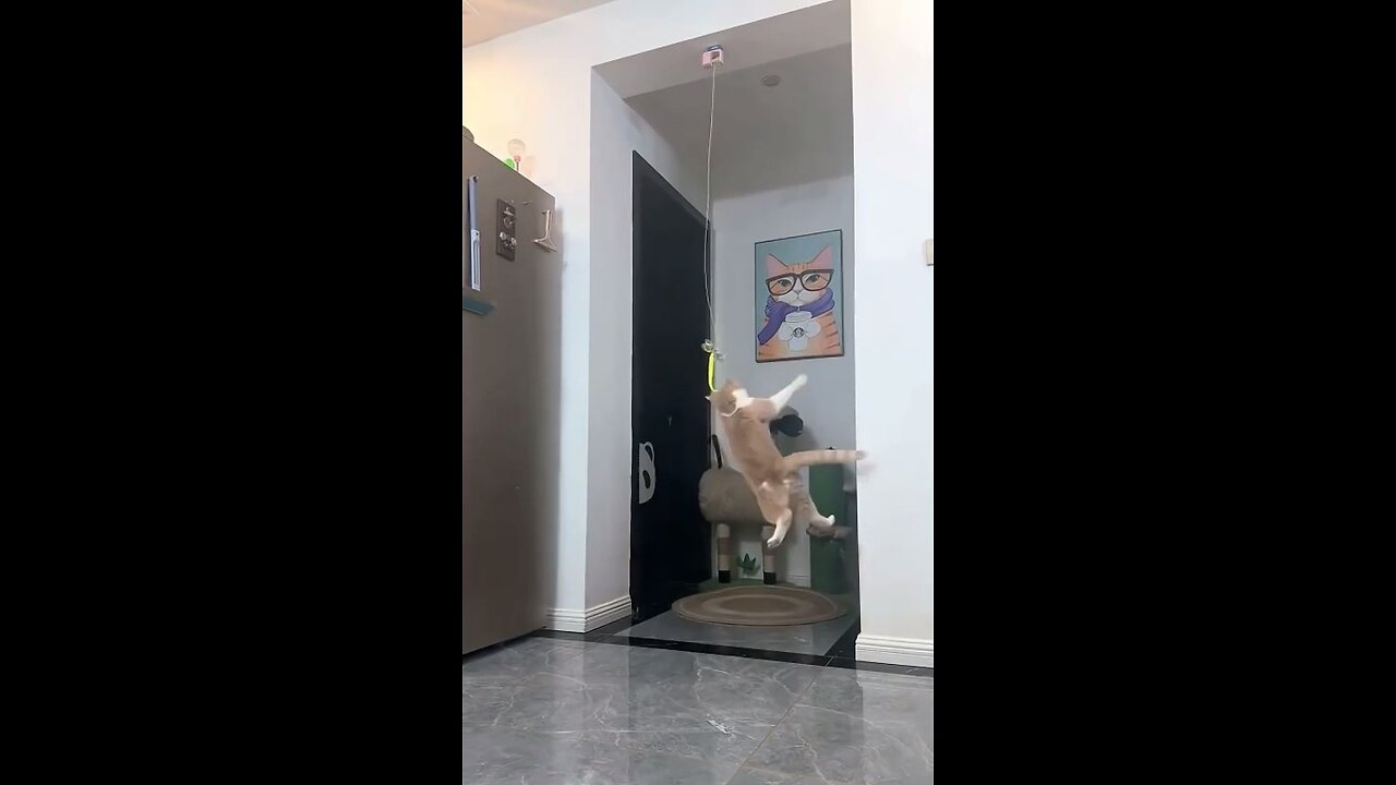 Automatic cat teaser!