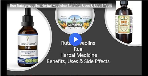 "Benefits, Uses & Side Effects of Rue Ruta Graveolins Herbal Medicine"
