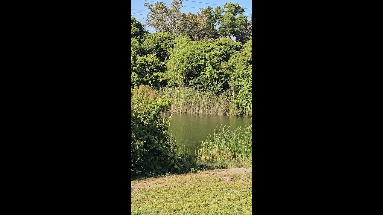 We have a Life 😁👋🏾