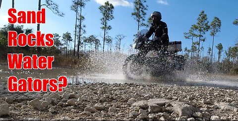 Adventure Riding In The Everglades
